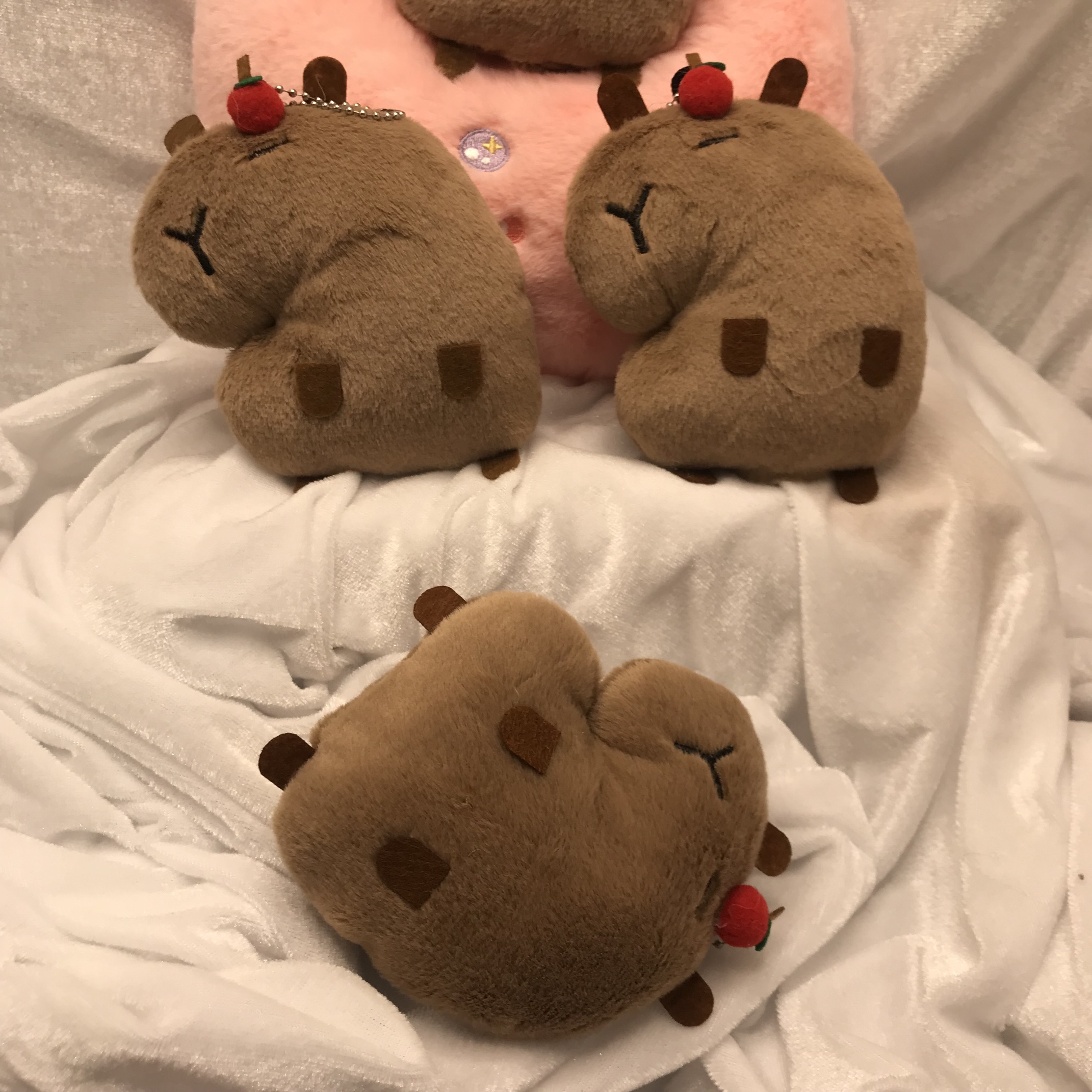 Capybara Plüschtier, 10 cm süße Kapibala-Puppe mit Erdbeer