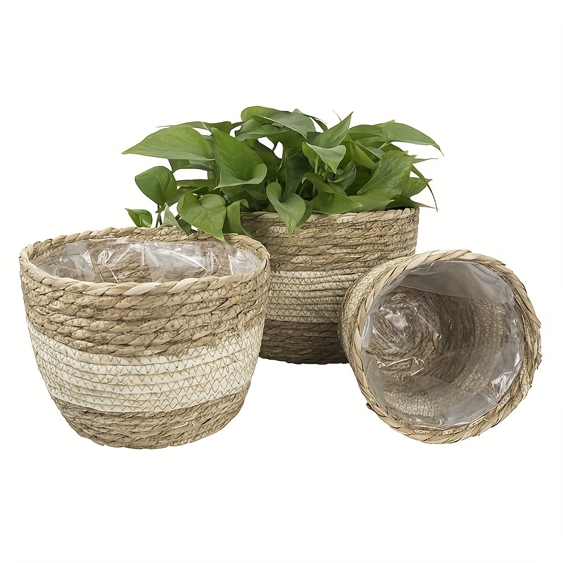 Las mejores ofertas en Mimbre Redonda cestas de plantas, macetas,  jardineras y Platillos