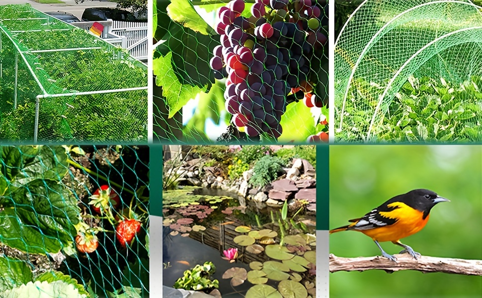 Anti-bird nets, pond nets, fishing nets, traps, crops, fruit trees,  vegetables and flower gardens, mesh pest controlGarden fence