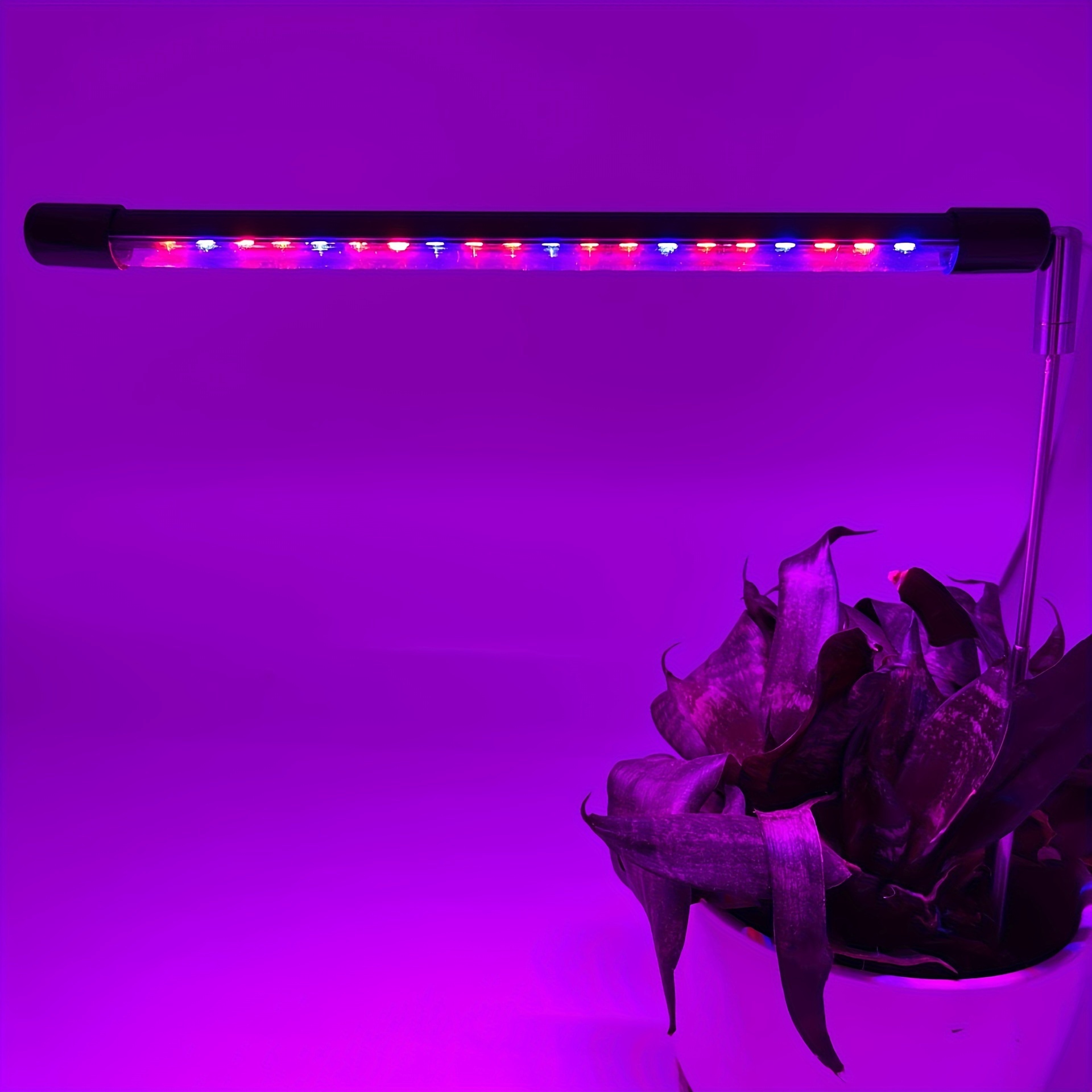 1 pack grow light plant lights for indoor plants full spectrum plant growing lamp 10 level dimmable auto on off timing 3 9 12hrs plugable red light purple light blue light grow light details 3