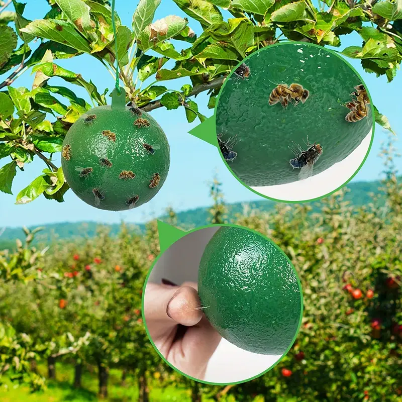 4Pcs Piège À Mouches À Fruits Fly Ball, Boule D'insectes Collante