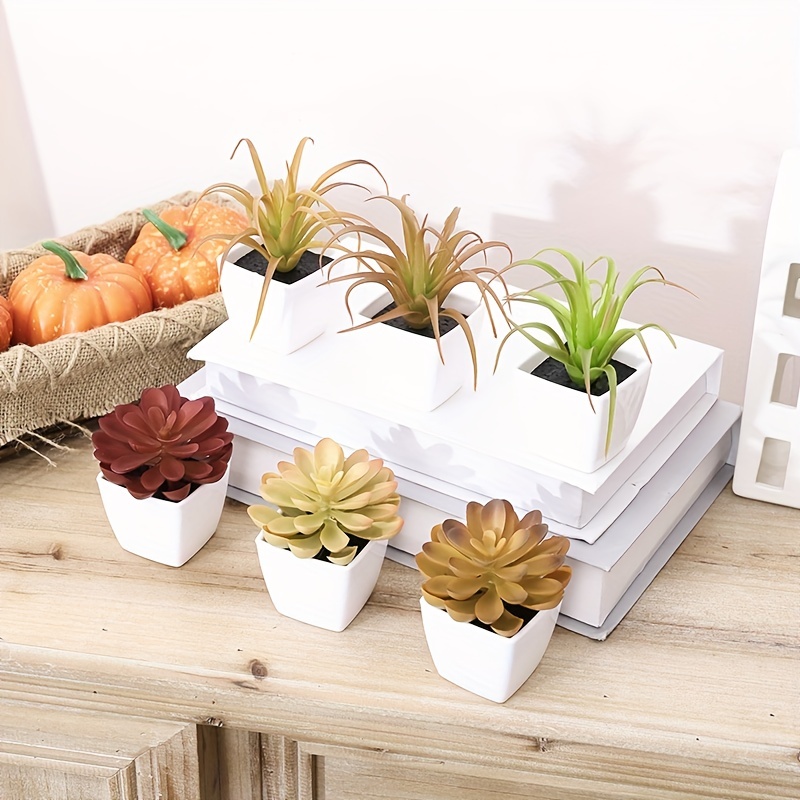 6 piezas de plantas suculentas artificiales en maceta natural en maceta  natural pequeñas plantas artificiales decoración interior para su hogar,  oficina Zhivalor YQ-0261