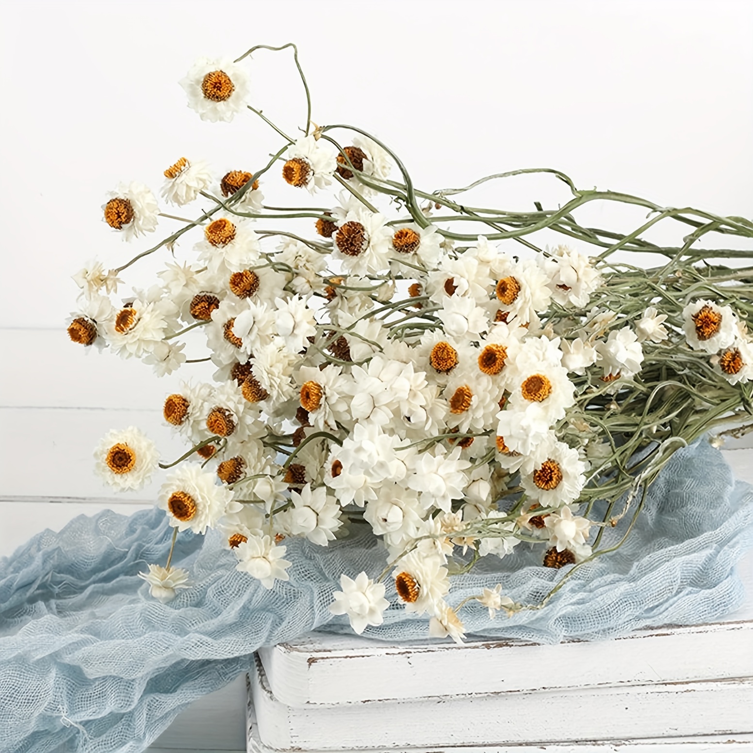 Jtoder Dried Daisy Flowers Bouquet, 200+ Real Dry White Flowers with Stems,  17'' Gerber Daisies Arrangements for Wedding, Farmhouse Vase Decorations