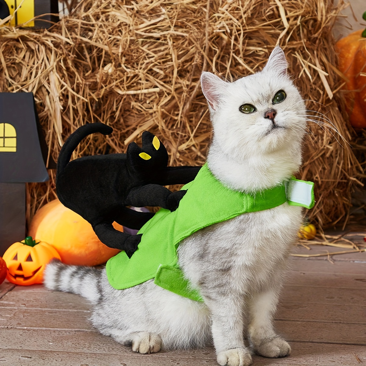 Black Cat And Pumpkin Halloween Leggings - Funny Halloween Costume