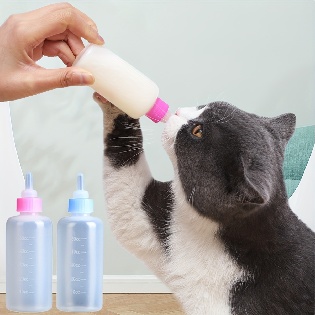 Kitten feeding bottle 2024 pets at home