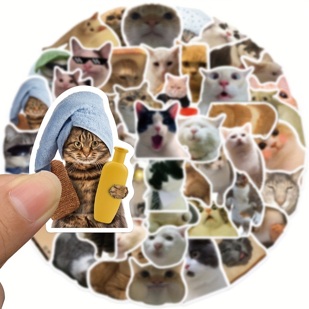 50PCS Animals Funny Cat Stickers Vinyl Waterproof Stickers For Scrapbook, Journaling, Laptop, Bumper, Skateboard, Water Bottles, Computer, Phone, Cartoon, Hard Hat, Car Stickers And Decals