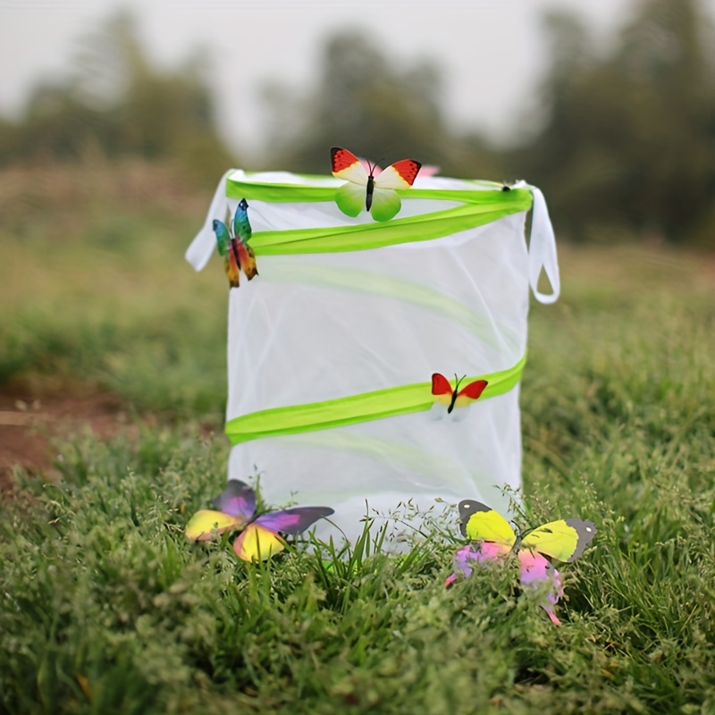 Green Butterfly Habitat Insect Cage Collapsible Bug Catcher - Temu