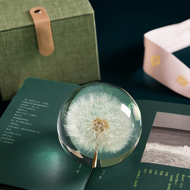 Desktop Paperweight Dandelion Specimen Ball Paperweight Ornament Gift
