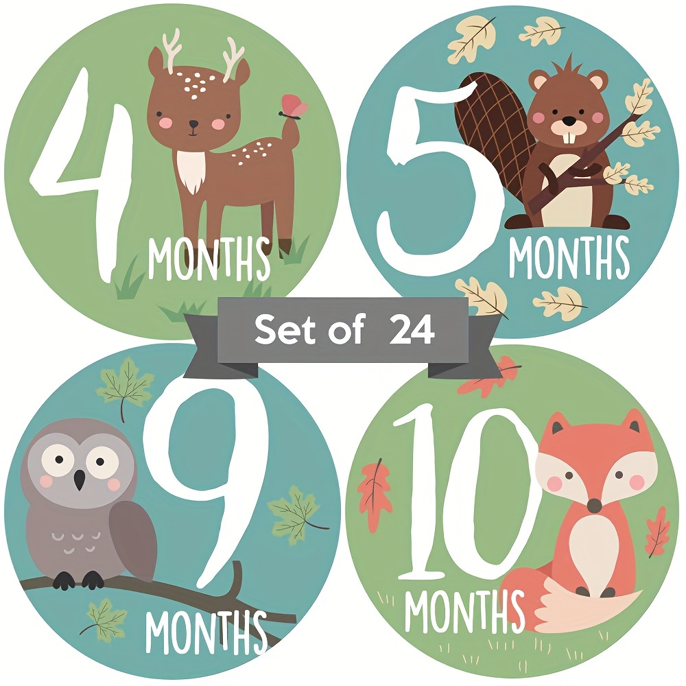 Baby Monthly Milestone Stickers Boy - Baby Milestone Stickers Boy