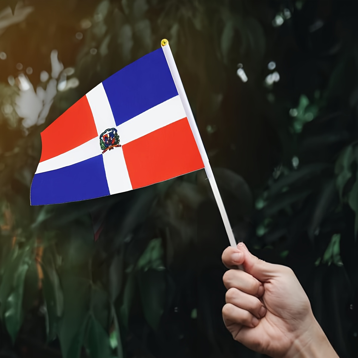 Comprarbanderas.es - Esta bandera personalizada de #Tomorrowland se va para  la República Dominicana ¿Quieres la tuya? Puedes personalizarla con el país  que quieras 😉 bit.ly/TomorrowlandBandera