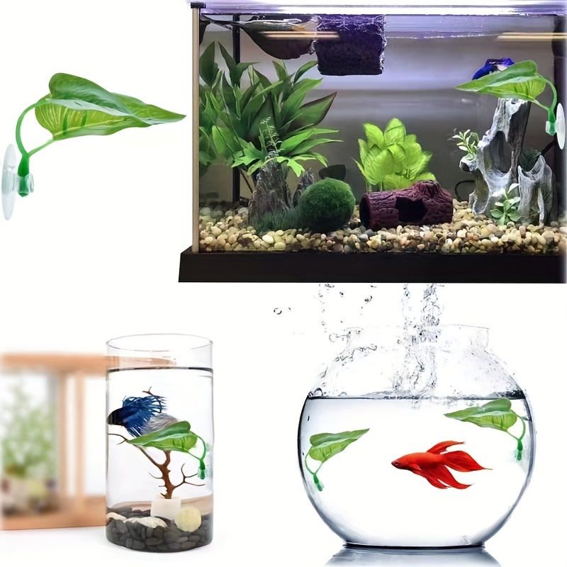 Beta Leaf Bed Fish Resting Leaf Betta Hammock Beta Tank