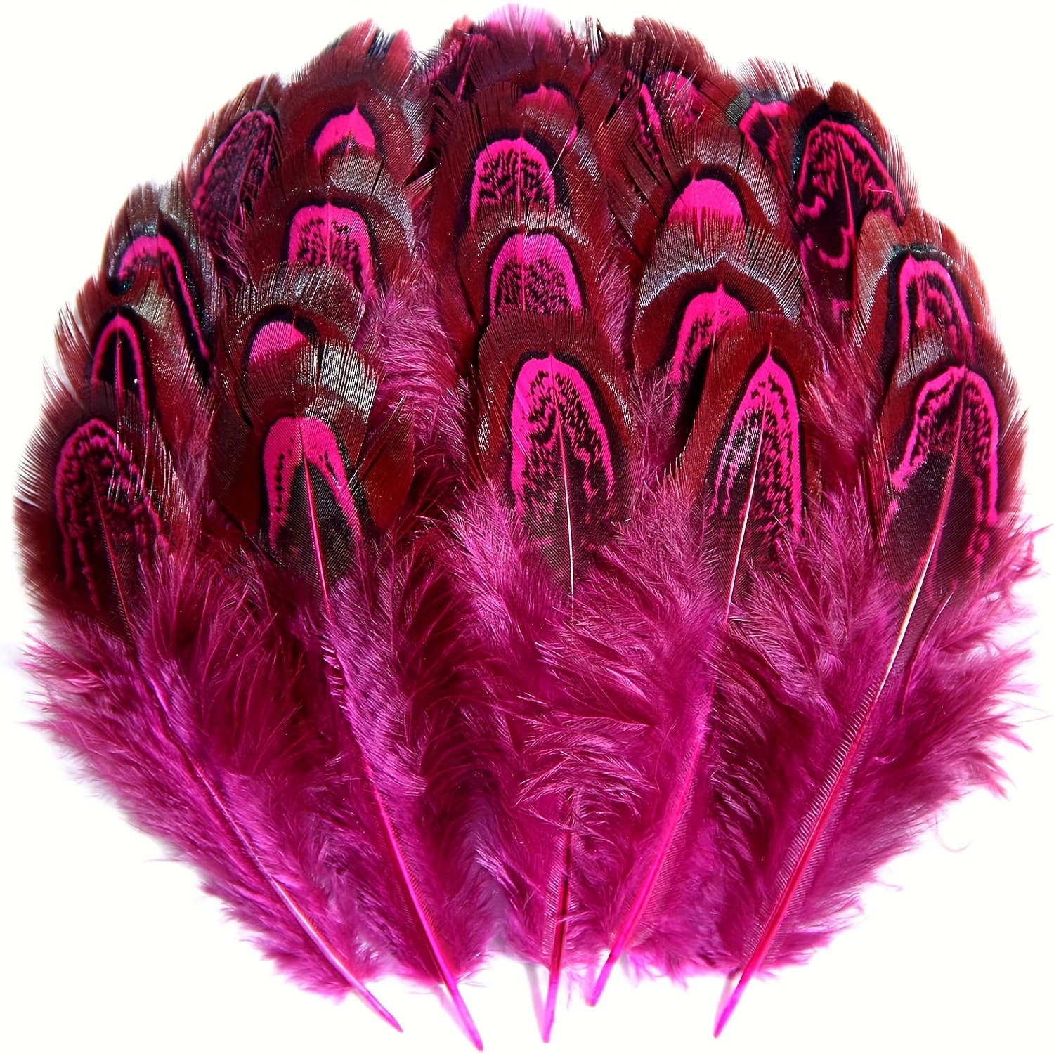 Natural Pheasant Plumage Feathers / For Thanksgiving Crafts - Temu