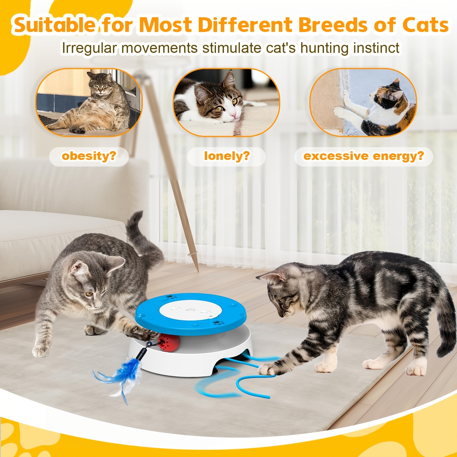 The best cat outlet toys for indoor cats