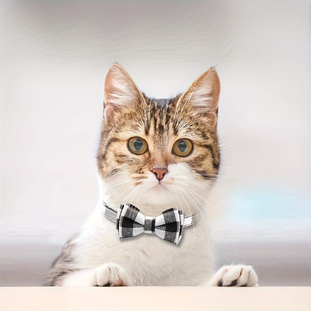 Bow tie with 2024 cats on it