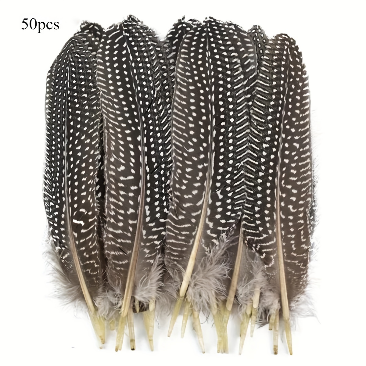 50Pcs Fluffy Natural Rooster Feathers Crafts DIY Accessories 8-15CM Chicken  Feather Fly Tying Materials Sewing Decoration Plumes