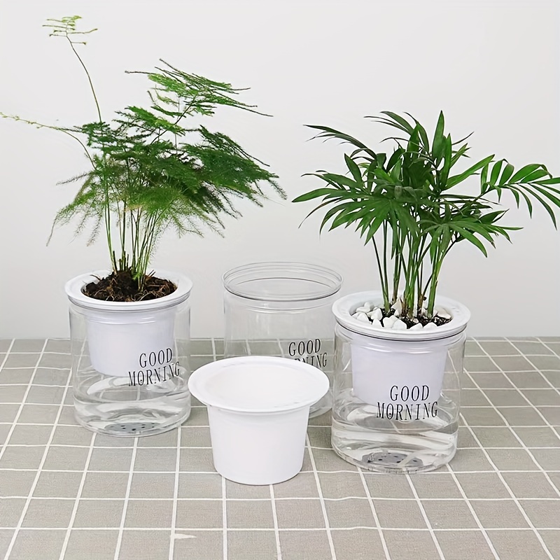 Acheter Pot de fleur Transparent pour plantes à arrosage