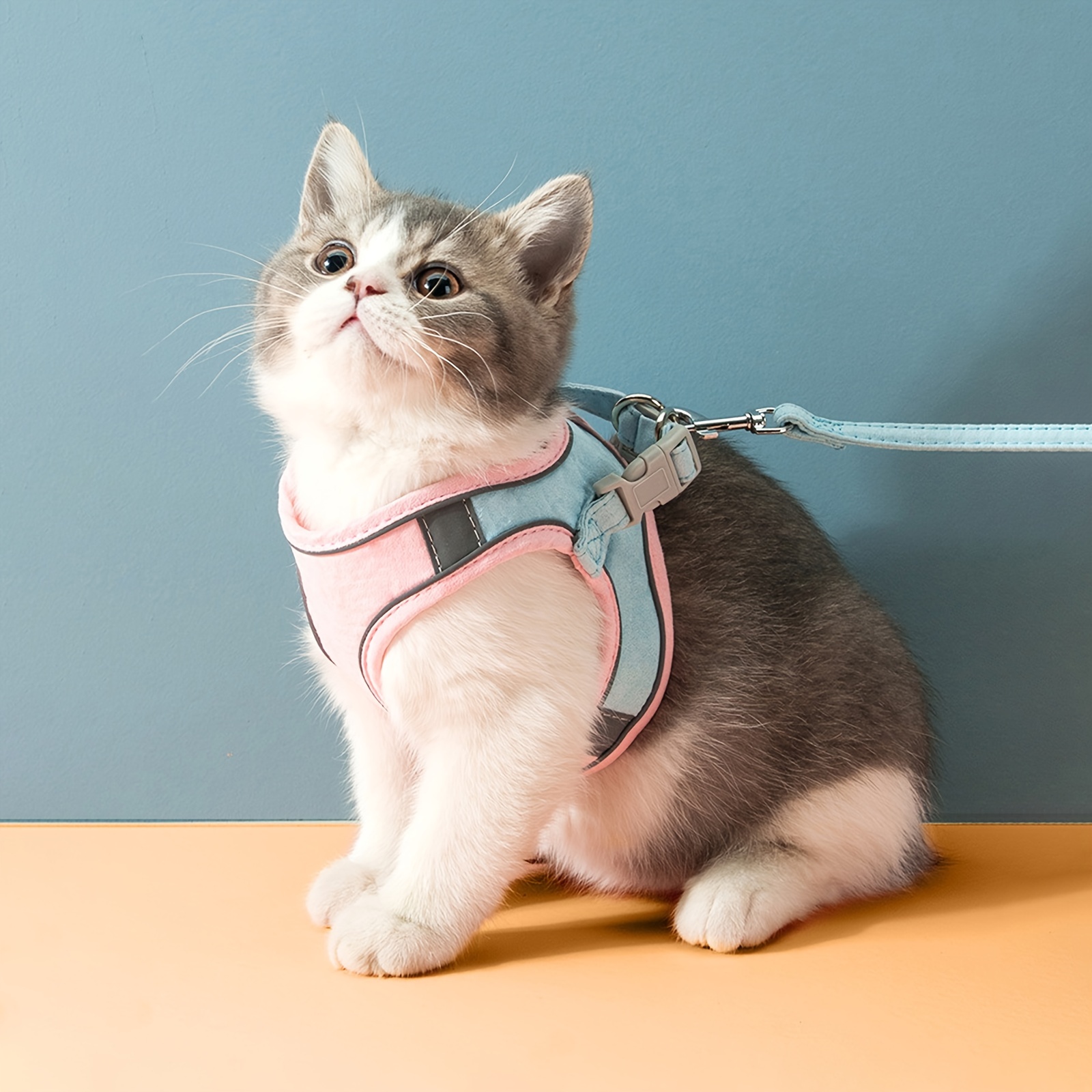 Adjustable Cat Harness And Leash Set for Kittens