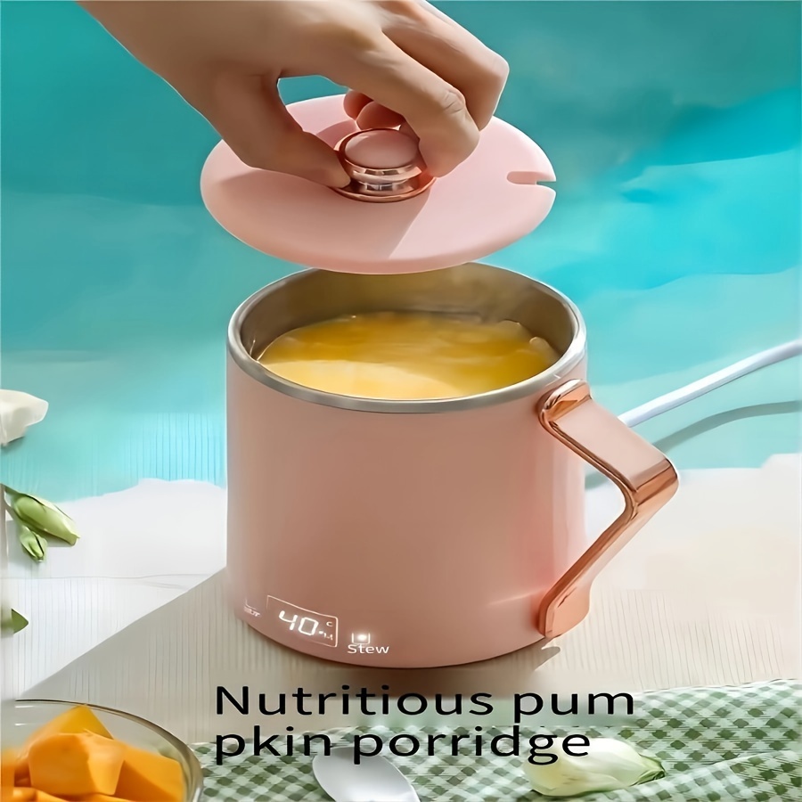 300W Portable Electric Kettle Boiled Water Tea Pot Stew Cup