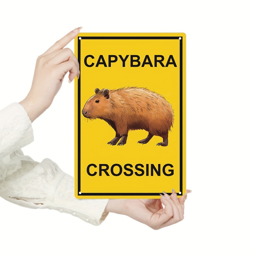 1pc Capybara Metallschild Vintage Blechschild Wandkunst - Temu