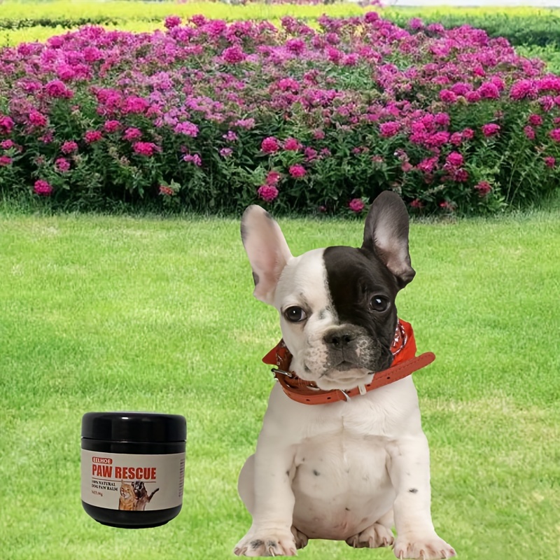 Revitalize Your Pet's Paws with Our All-Natural Foot Care Balm