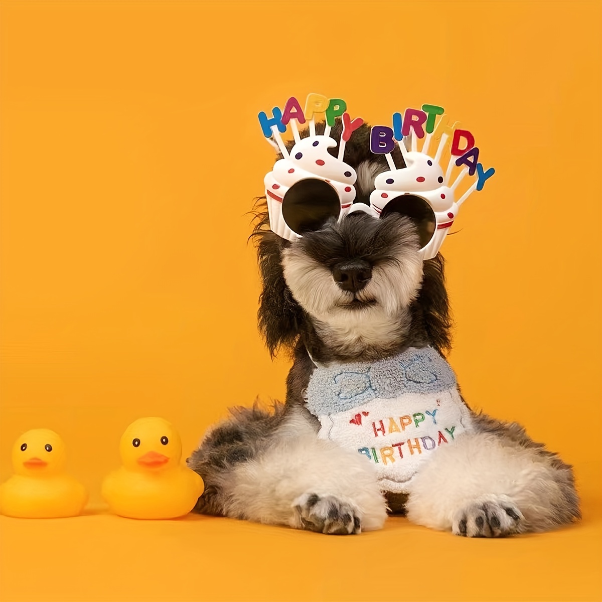 Gorro Fiesta Cumpleaños Gato, Accesorios Pelo Mascotas, Equipo Cabeza  Gatito, Accesorios Fiestas Cumpleaños Mascotas, Compra En Temu Empieza  Ahorrar