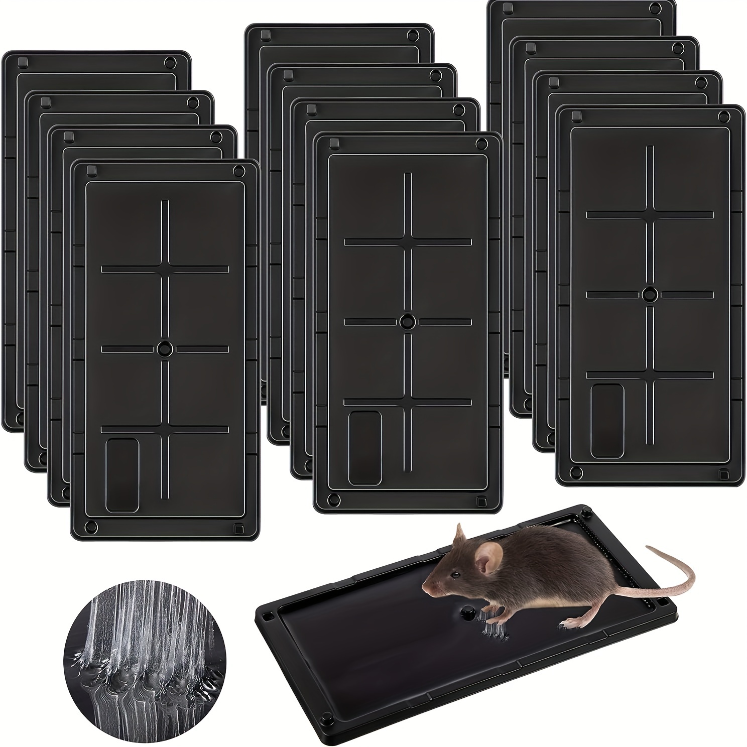 Catchmaster Rat & Mouse Glue Traps 6Pk, Large Bulk Glue Rat Traps, Mouse  Traps Indoor for Home, Pre-Scented Adhesive Plastic Tray for Inside House,  Snake, Mice, & Spider Traps, Pet Safe Pest