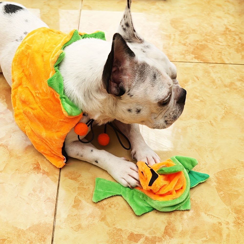 Halloween Pet Costume Funny Pumpkin Dog Cosplay Clothes Autumn Winter Pet  Clothes For Dogs And Cats Festival Party Dress Up Apparel - Temu Australia