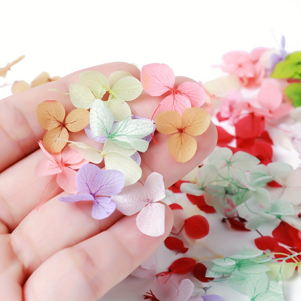 3d Dried Flowers Nail Art Decoration Real Dried Flower - Temu