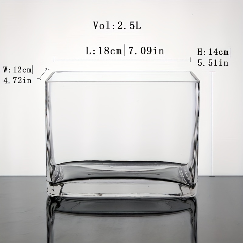 PW TOOLS Mini Aquarium, Bocal À Poisson en Verre, Petit Aquarium Rond en Verre  Transparent avec Base en Bois, Vase pour Hydroponique, pour Décoration De  Bureau À Domicile : : Animalerie