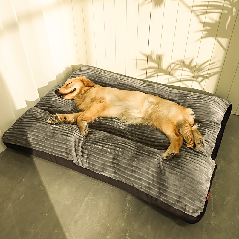 Dog Mat For Floor Moisture proof And Absorbent Dog Chenille - Temu