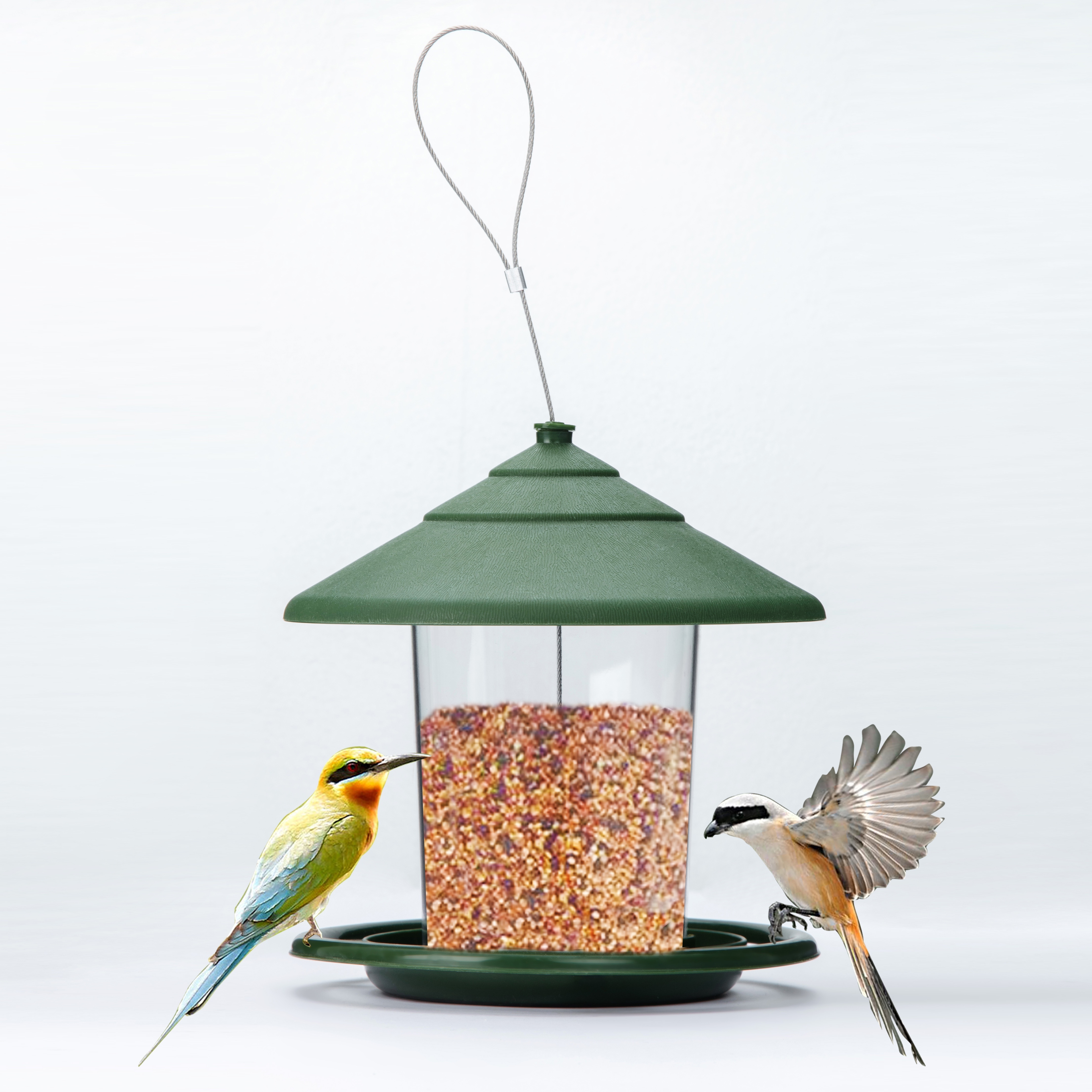 Mangeoires à oiseaux avec plateau en maille métallique, baignoire à oiseaux  et mangeoire à oiseaux robuste détachable et robuste : : Terrasse  et Jardin