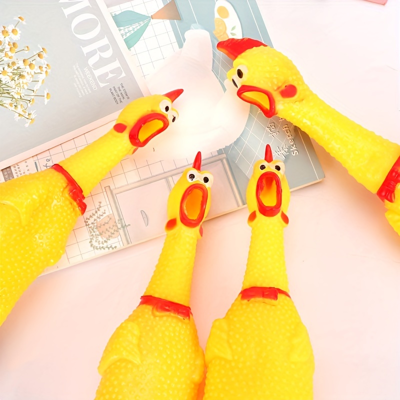 Tianbi Haustier Dekoration, Huhn Arme Lustige Dekoration, Lustige Arme  Modell Vögel Hühner Muskel Hand Dekorative Spielzeug für Geflügel Cosplay  Kostüm: : Haustier