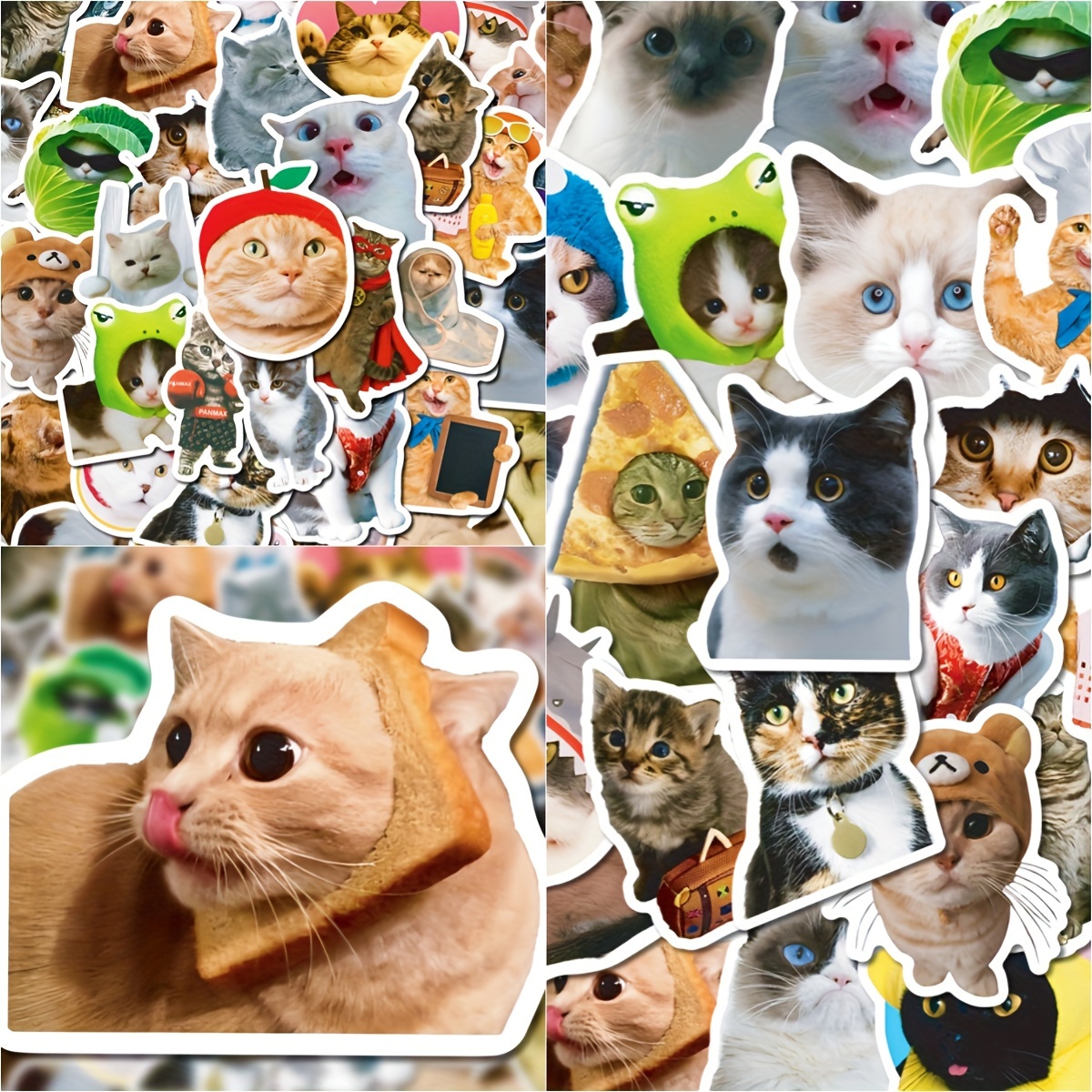 Cat Decorative Stickers Adhesive Stickers Diy Decoration - Temu