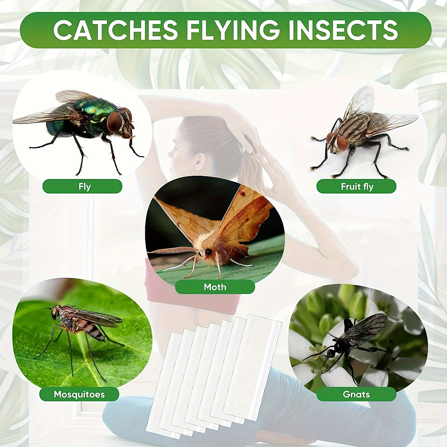 Fruit Fly Paper Sticky Strips Pest Control Traps Indoor - Temu