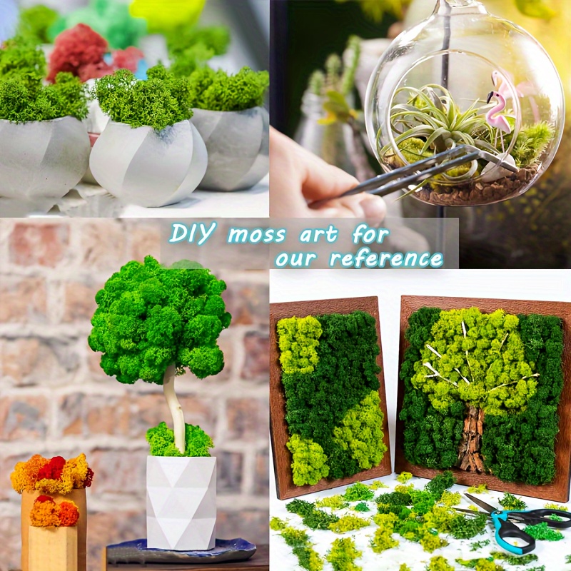 10 Ways to Decorate With Green Moss
