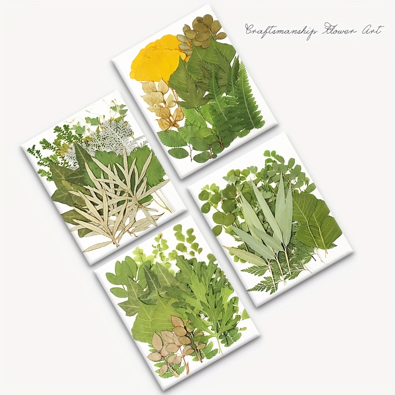 Vegetable II Cards - The Arts & Crafts Press