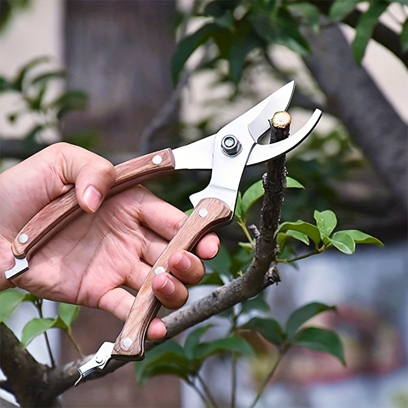 Flora Guard Garden Shears 8.5 Bypass Pruning Shears, Professional Ultra  Sharp Sk5 Steel Garden Clippers, Heavy Duty Plant Cutting Scissors Garden