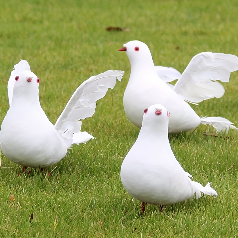 Oiseaux blancs, plumes artificielles en mousse, colombes, oiseaux  artisanaux, Mini oiseaux décoratifs – les meilleurs produits dans la  boutique en ligne Joom Geek