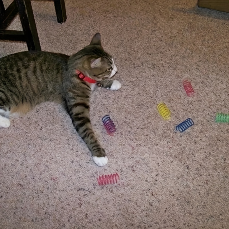 Kitten toys 2024 and accessories