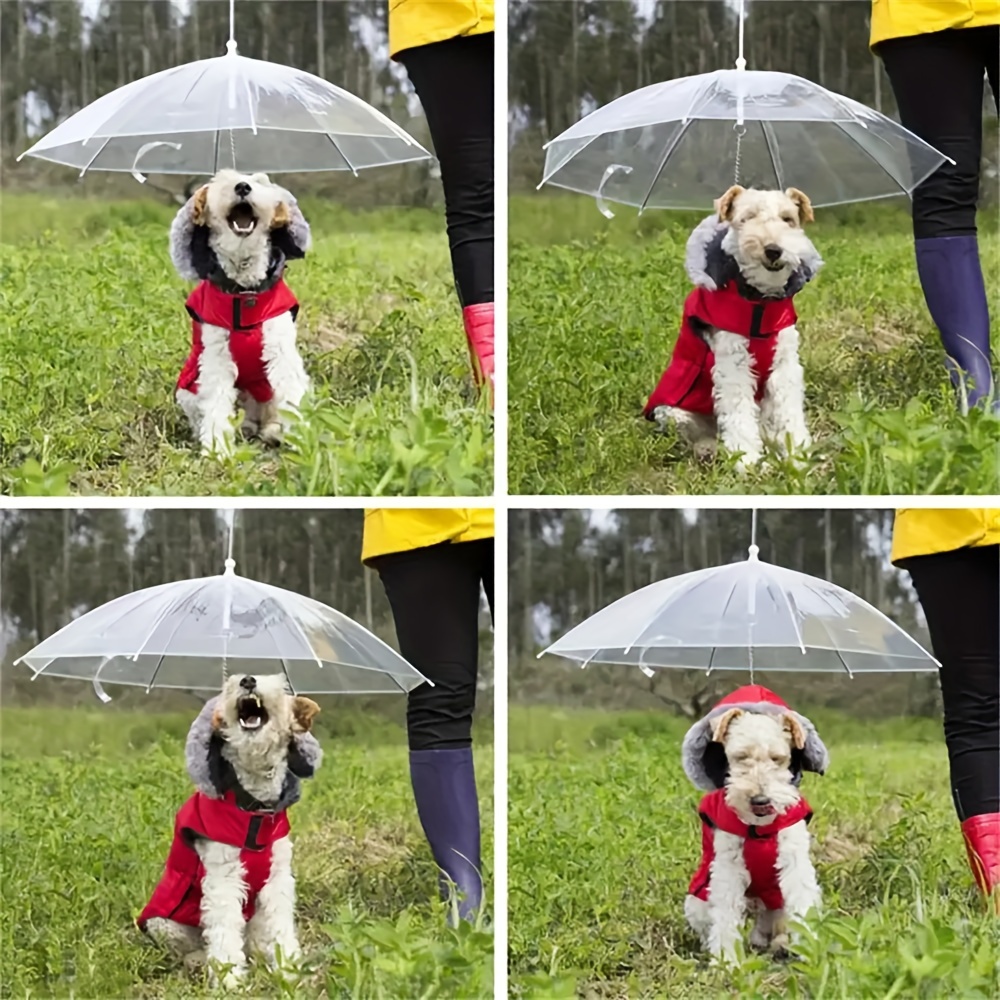 Pet Umbrella Built in Leash Small Dogs Transparent Outdoor Temu Georgia