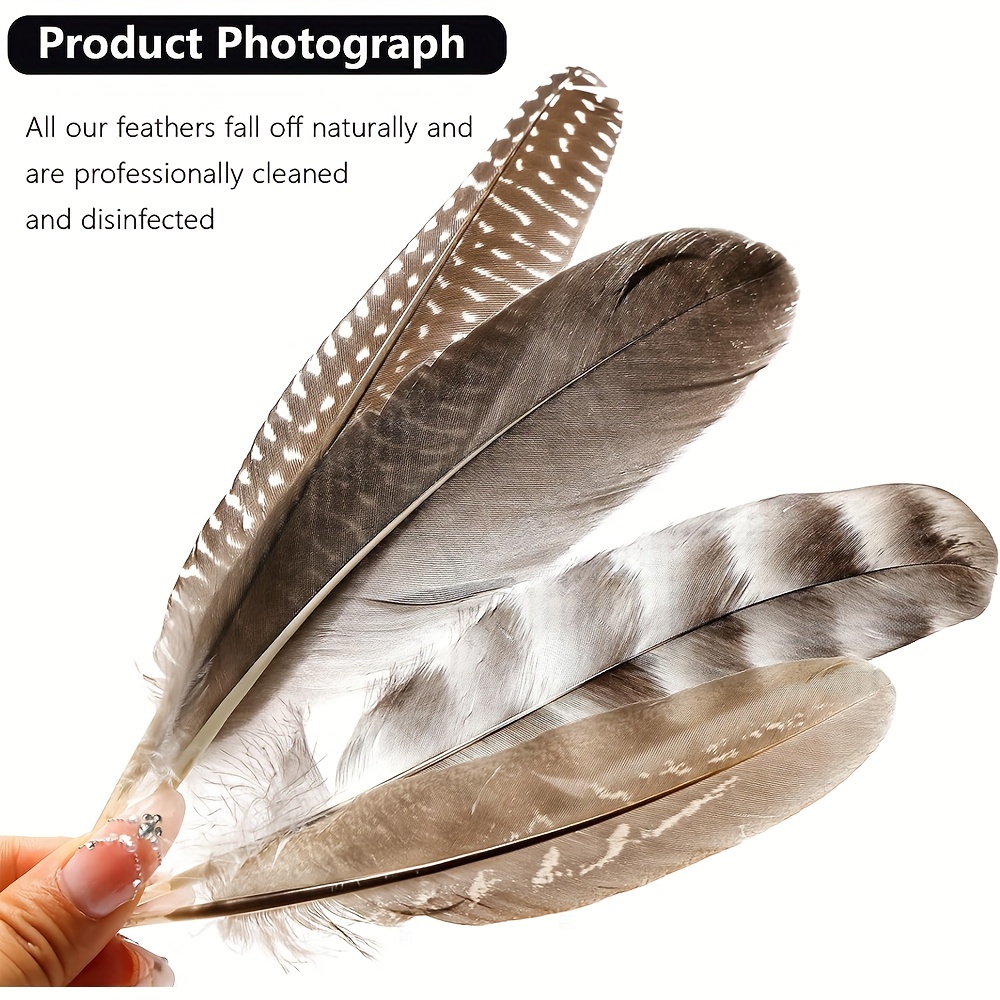 Bulk Guinea Wing Feathers Natural Feathers For Diy Wedding - Temu