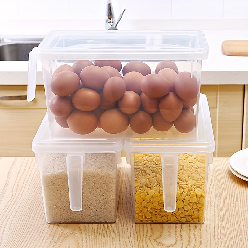 Fukuda Package Material China Deviled Egg Container Factory 2400ml/81oz  Dpbs-850b Fruit Containers 170*180*80mm Wholesale 12X12 Plastic Storage  Containers - China Plastic Container, Plastic Food Container