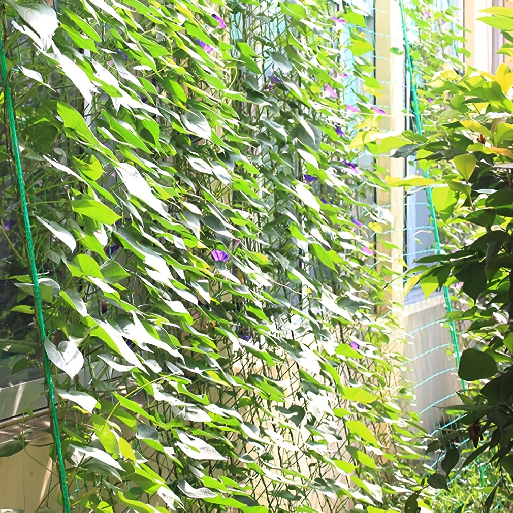 Garden Plant Trellis Netting Heavy Duty Plant Support Vine - Temu