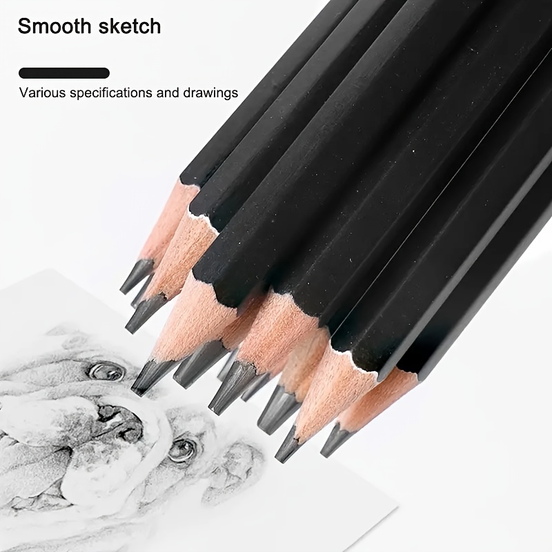 Professional Drawing Sketching Pencil Set - Art Drawing Graphite Pencils(12b  - 4h), Ideal For Drawing Art, Sketching, Shading, For Beginners & Pro  Artists - Temu