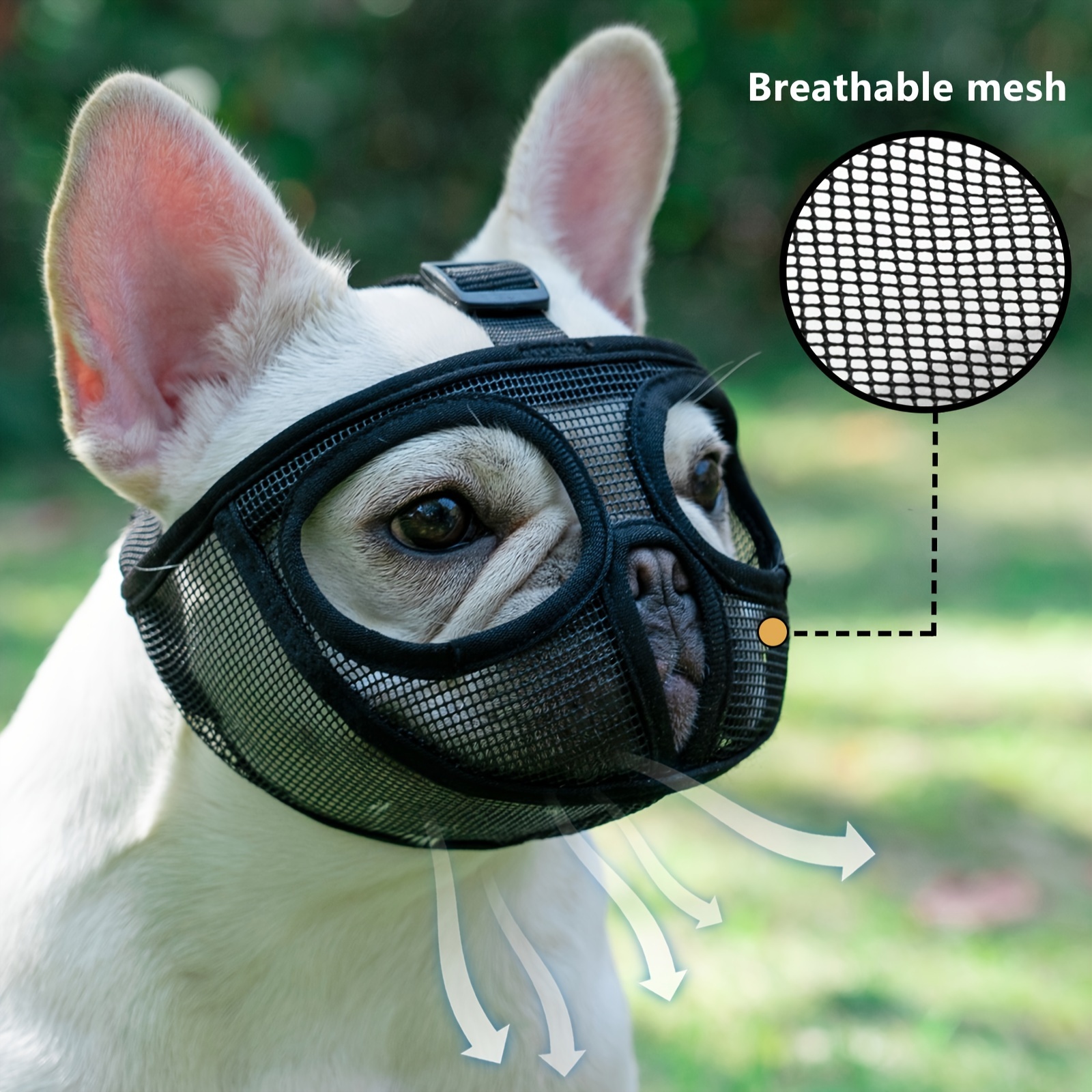 Short snout 2025 dog muzzle