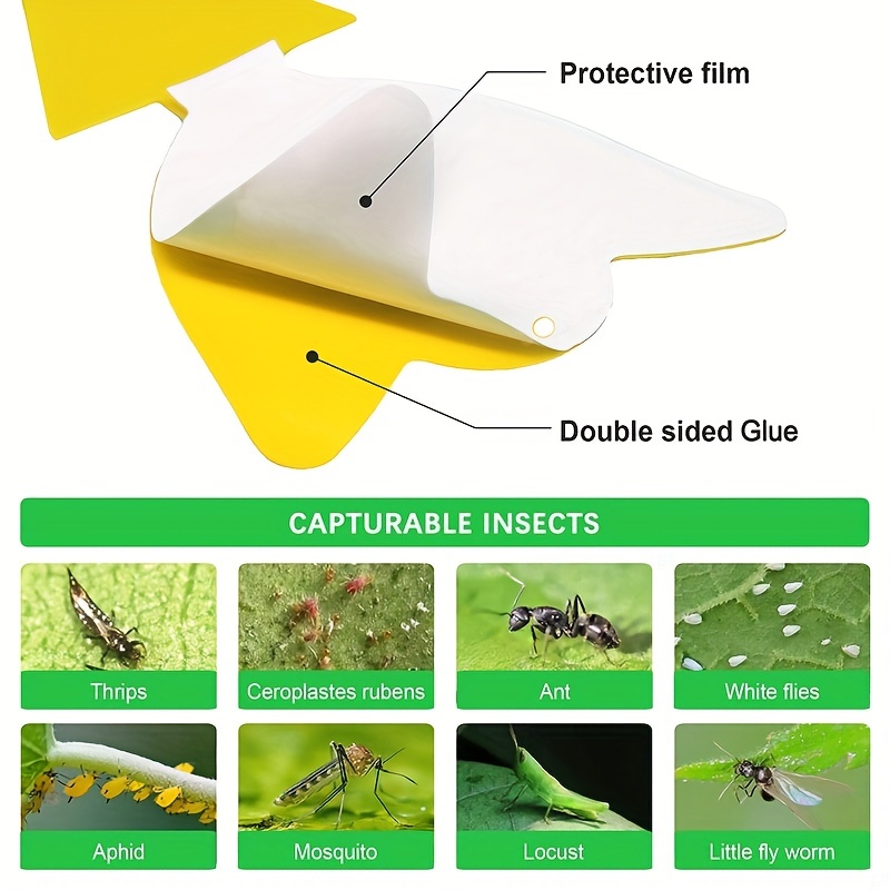 36 Pcs Sticky Traps for Fruit Fly, Whitefly, Fungus Gnat, Mosquito and Bug,  Yellow, Insect Catcher Traps for Indoor/Outdoor/Kitchen, Extremely Sticky