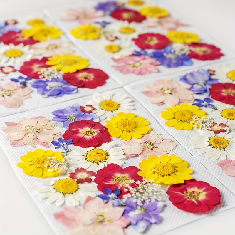 Olerqzer - Juego de 80 flores secas para resina, diseño de flores, par
