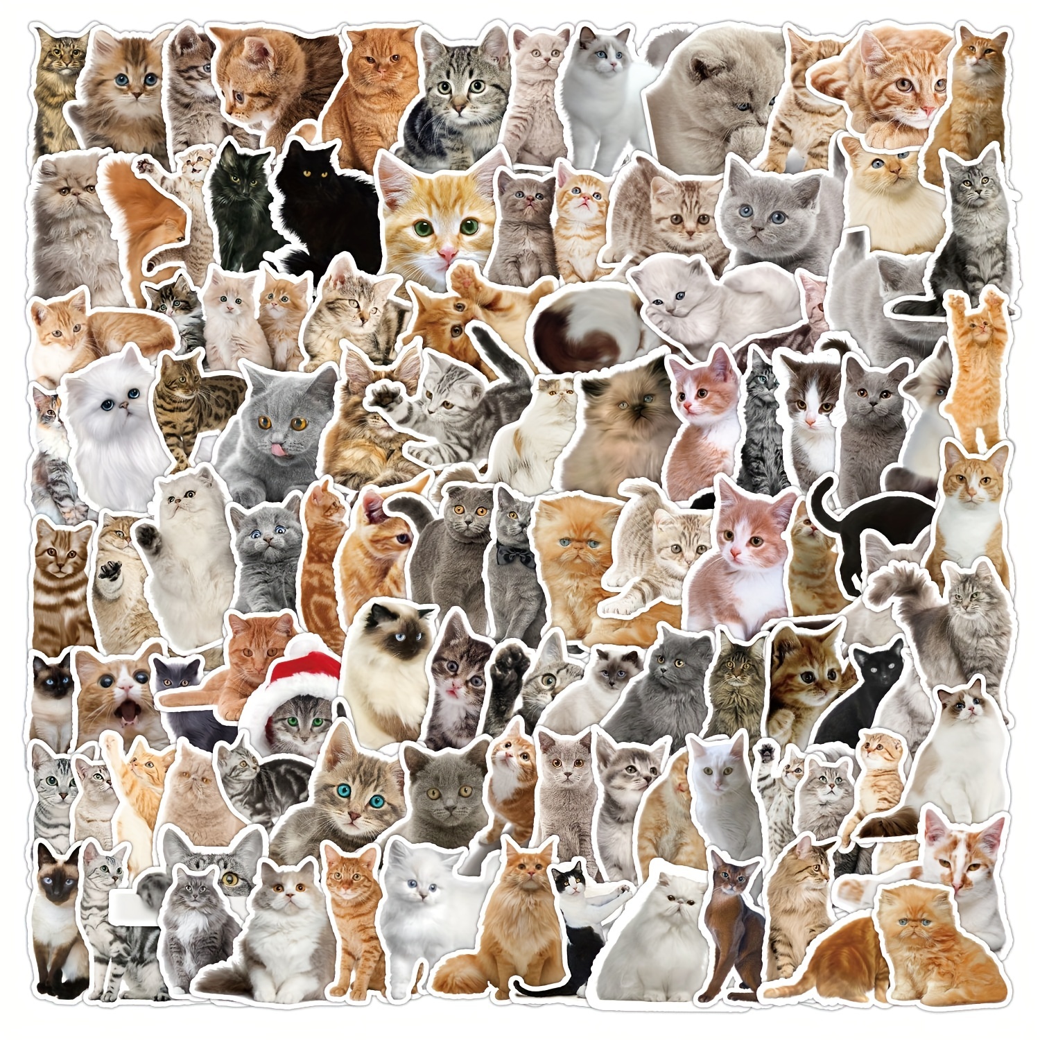 100 Stück Süße Kätzchen katzen graffiti aufkleber - Temu Austria