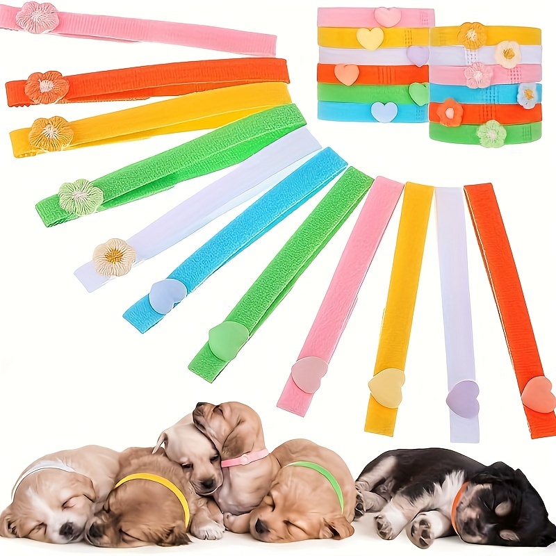 Newborn 2025 puppy tags