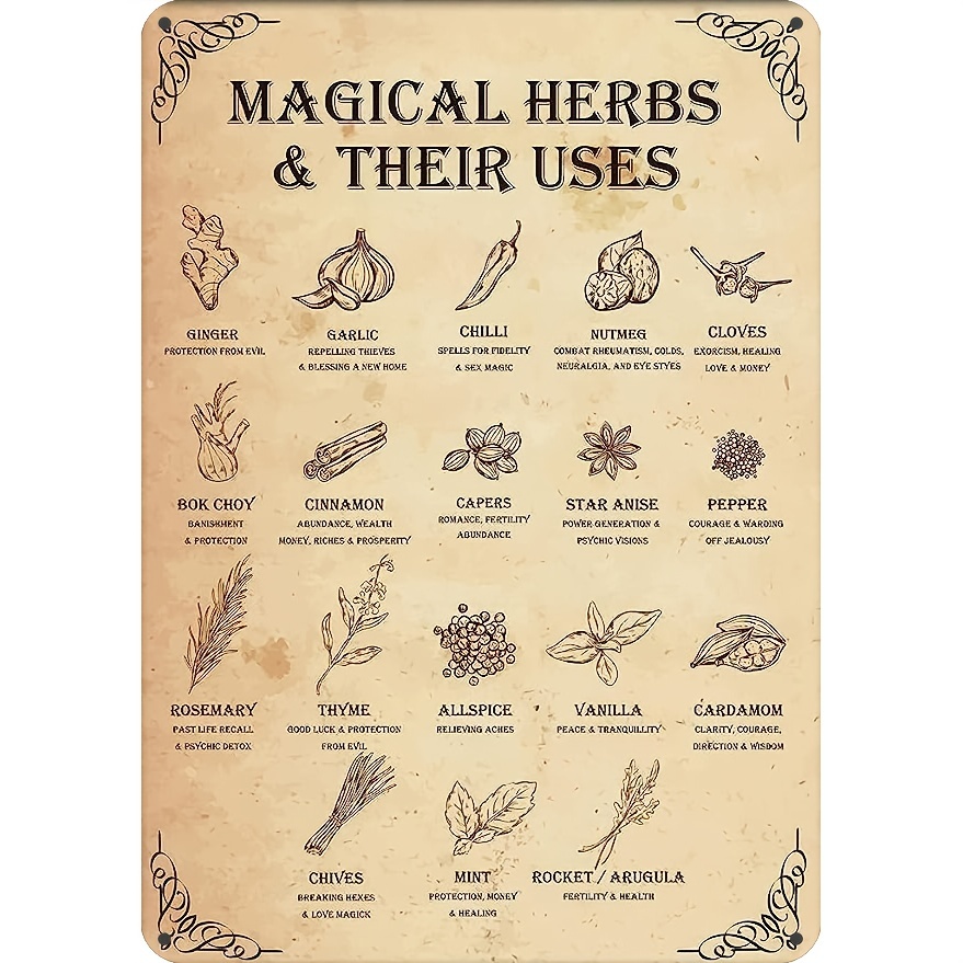 Herbs For Witchcraft - Temu